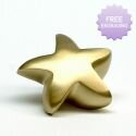 Brass Star Keepsake Urn