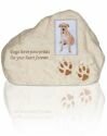 Paw Prints Rock Urn