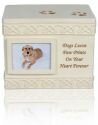 Paw Prints Urn