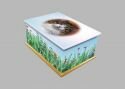 Splendid Beauty Pet Casket