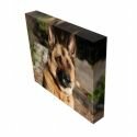 Pet Memorial Canvas